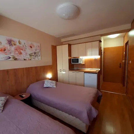 Casa de hóspedes Private Valis 4*