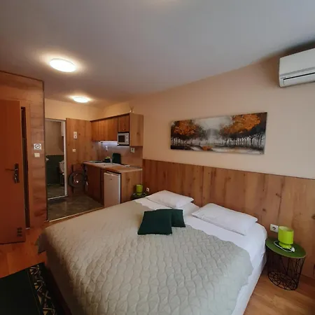 Private Valis Casa de hóspedes 4*