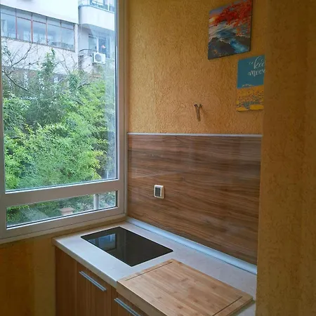Casa de hóspedes Private Valis